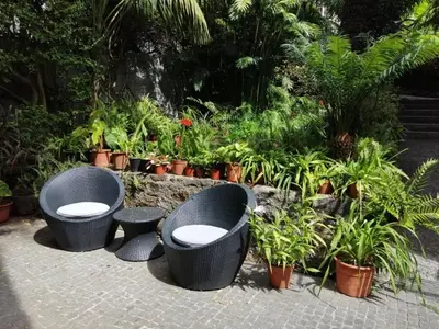 three black wicker seats in a garden with plants at Vila Vicência in Funchal