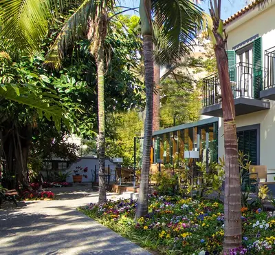 a garden with palm trees and flowers in front of a building at Vila Vicência in Funchal