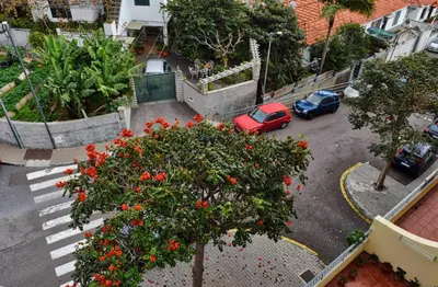 a red car parked in a parking lot with a tree at Perola, a Home in Madeira in Funchal