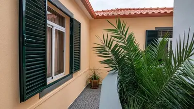 a house with green shuttered windows and palm trees at Seaside House in Estreito in Estreito da Calheta