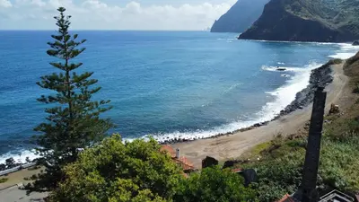 a beach with a pine tree next to the ocean at Souza Beach Apartment - Porto da Cruz - Studio & Suite in Porto da Cruz