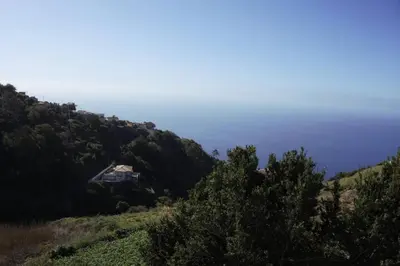 a house on the side of a hill with trees at Raposeira de São João, the feeling of peace, space and quiet, Whole villa is yours in Fajã da Ovelha