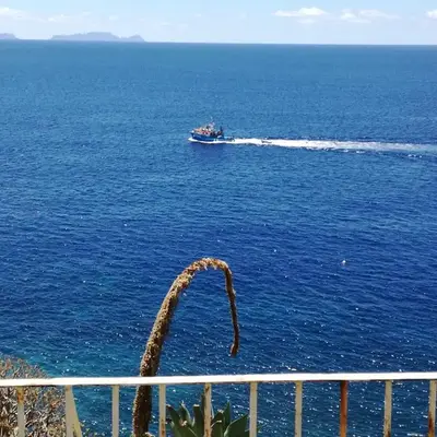 See to Sea
