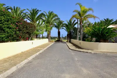 an empty road with palm trees in the distance at Casa das Ondas by AnaLodges in Porto Santo