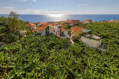 a group of houses on a hill next to the ocean at Oscar's House by An Island Apart in Ponta do Sol