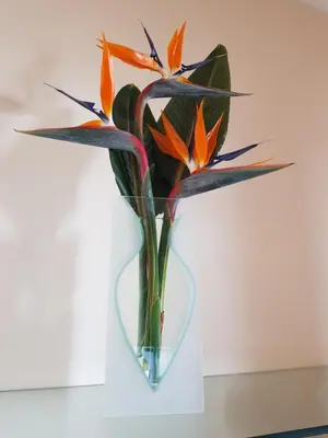 a glass vase with flowers in it on a table at “VENIK HOUSE” sea_mountains_relaxing_barbecue in Funchal