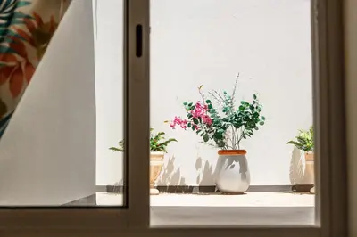 a vase with flowers sitting on a window sill at Residencia ANA Piso Zero 0 in Santa Cruz