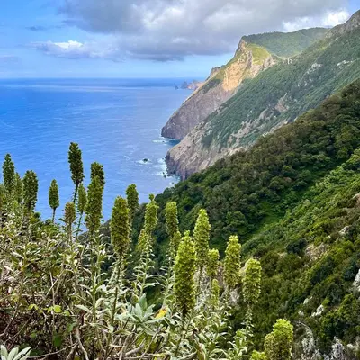a view of the ocean from a mountain at Getaway to Blue Paradise at Madeira Island in Funchal