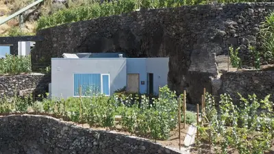 a house built into a stone wall with a garden at Socalco Nature Calheta in Calheta
