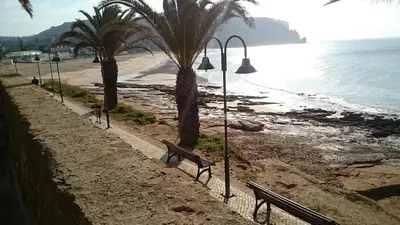 a bench on a beach with palm trees and the ocean at Beach front/waterside apartment in Luz