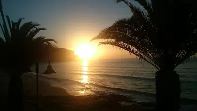 a sunset on a beach with palm trees and the ocean at Beach front/waterside apartment in Luz