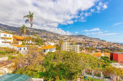 a city with a palm tree and buildings on a hill at Flowers Island house 2 in Funchal