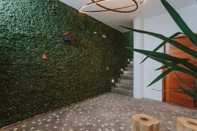 a green wall with stairs and a plant at FLH Casa Branca Madeira in Funchal
