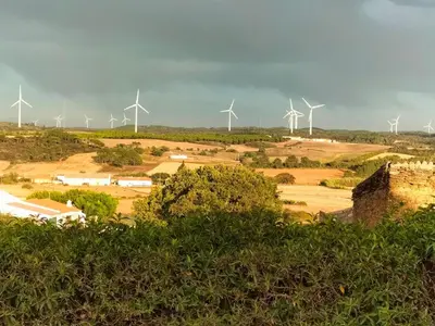 a group of windmills in a field with trees at chabouco 2 (Mien) in Aljezur