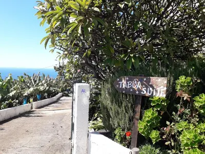 a sign on the side of a road next to a tree at Tabua Village Madeira Suite 6 Adventure with Ocean View in Ribeira Brava