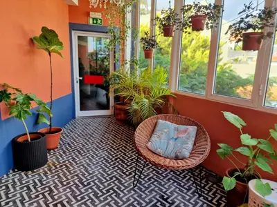 a hallway with a wicker chair and potted plants at ASPA Studios - Urban Conscious Living in Funchal