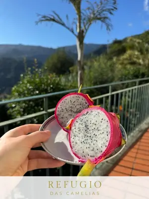 a person holding a dragon fruit in a persons hand at Refúgio das Camélias in Santana