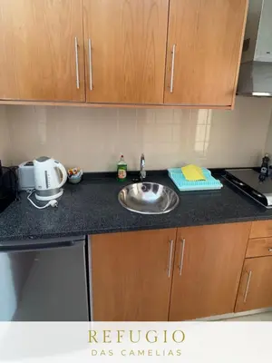 a kitchen counter top with a sink and a sink at Refúgio das Camélias in Santana