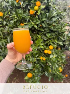 a person holding up a glass of orange juice at Refúgio das Camélias in Santana