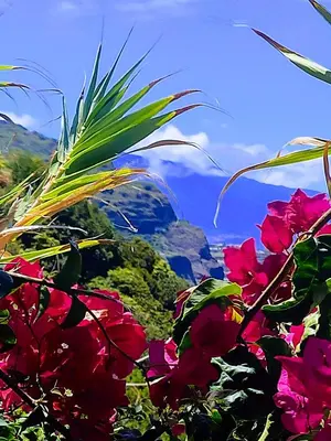 a view of the mountains with flowers in the foreground at Bluegreen in Arco da Calheta