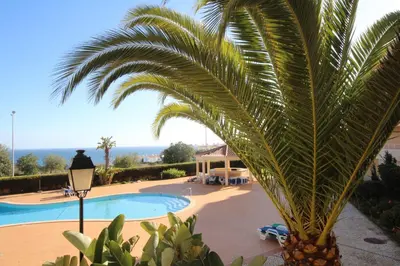 a palm tree in front of a swimming pool at Acácias, spacious apartment with sea view in Luz