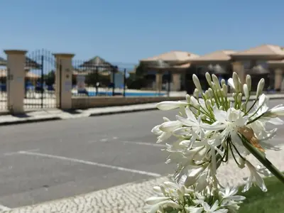 a white flower in front of a parking lot at Boavista 73 in Lagos