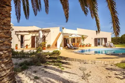 a house with a swimming pool and a palm tree at Villa Oceanis in Luz
