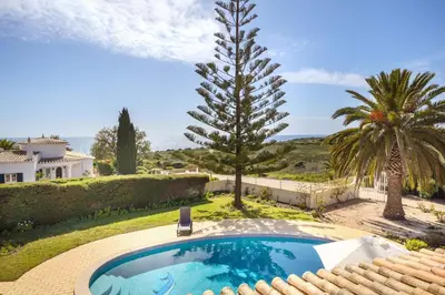 a swimming pool in a yard with a palm tree at Villa Oceanis in Luz