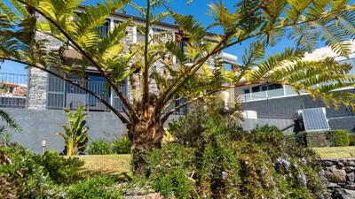 a palm tree in front of a building at Casa da Felicidade by LovelyStay in Prazeres