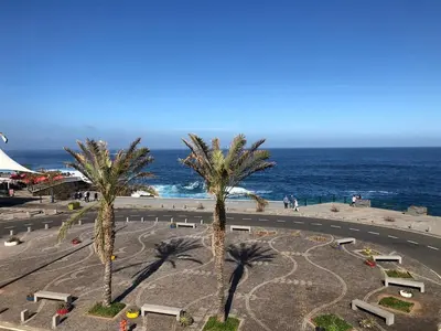 a group of palm trees next to the ocean at Perola Views Inn by Homie in Porto Moniz