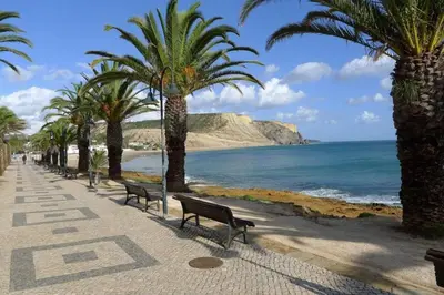 a beach with palm trees and benches and the ocean at Vila das Acacias in Luz