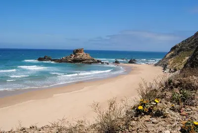 a beach with rocks in the ocean and flowers at Casa Flora T1 - Vila do Bispo in Vila do Bispo