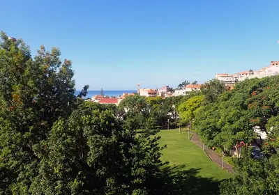 a park with trees and buildings in the background at Funchal petrolhead apartment in Funchal