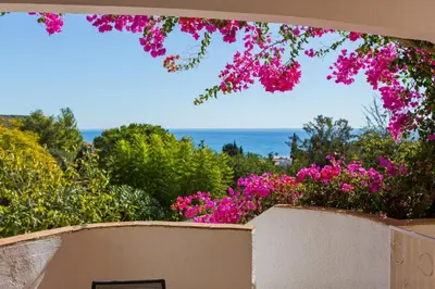 a view from a wall with pink flowers at Casa dos Cardos in Luz