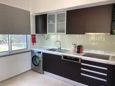 a kitchen with a sink and a washing machine at Madeira Mero Apartment in Caniço