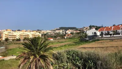 a palm tree in front of a city with buildings at Madeira Mero Apartment in Caniço