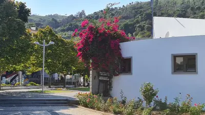 a tree with pink flowers on the side of a building at Casa Chic in Vila do Bispo