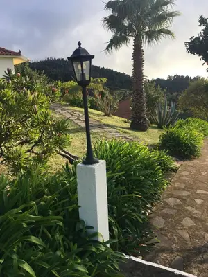 a street light in a garden with a palm tree at Bungalows Do Amparo in Ponta do Pargo