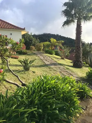 a garden with a palm tree and a stone path at Bungalows Do Amparo in Ponta do Pargo
