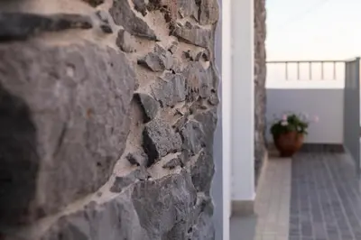 a stone wall in a hallway with a plant at Stay in our cozy and wonderful Casa da Rosinha in Arco da Calheta