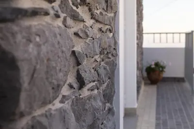 a stone wall in a hallway with a plant at Stay in our cozy and wonderful Casa da Rosinha in Arco da Calheta