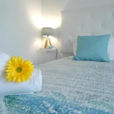 Town Apartment
