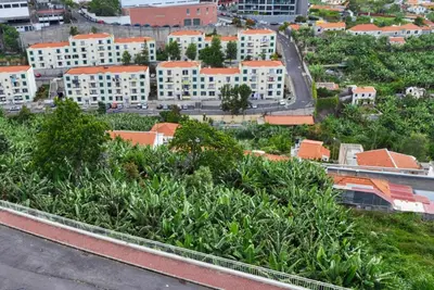 a view of a city with buildings and trees at Design Gardens, a Home in Madeira in Funchal