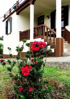 a house with red flowers in front of it at Vila Joaninha in Santo da Serra