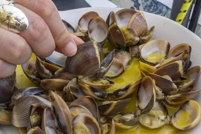 a person is holding a plate of clams at C14 - Casa da Luz in Luz