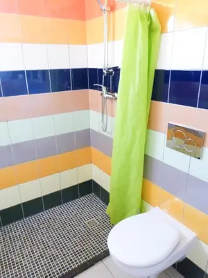 a bathroom with a toilet and a shower at Casa do Lado in Carrapateira