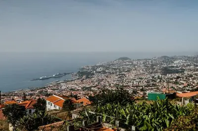 a view of a city with a harbor at City View Gardens in Funchal