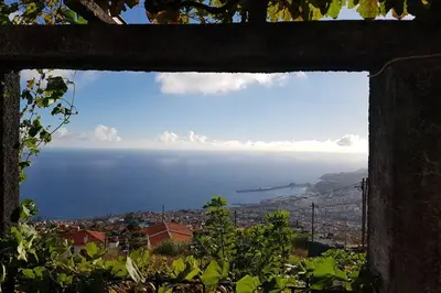 a view of the ocean seen through a window at City View Gardens in Funchal