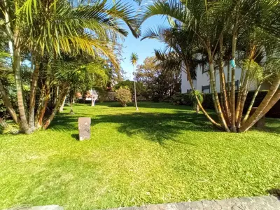 a park with palm trees and a sign in the grass at Garden's Apartment in Funchal