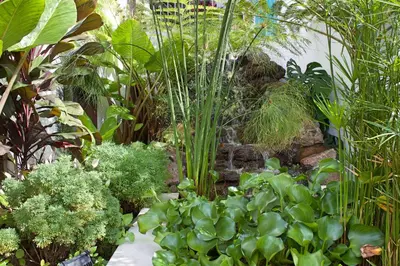 a garden with many different plants and trees at OurMadeira - Villa do Mar IV in Calheta